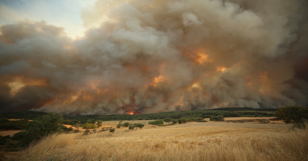 BAKAN YUMAKLI: ÇANAKKALE