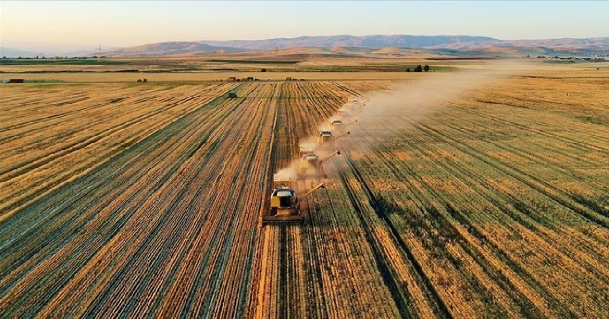 TARIMSAL ÜRETİMİN PLANLANMASI KURULU OLUŞTURULACAK